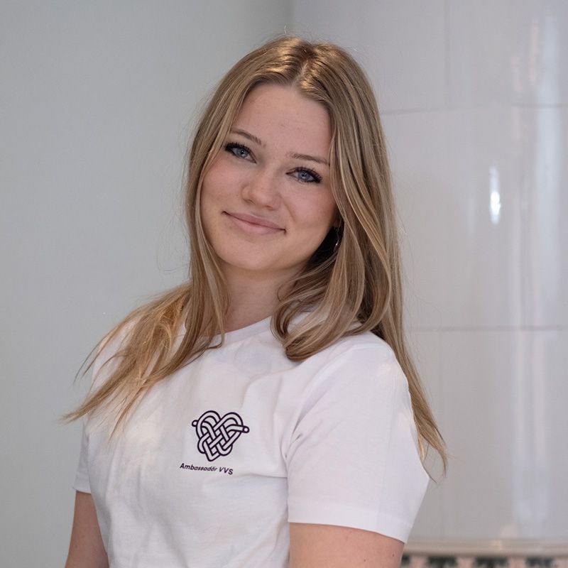 Ambassadörer