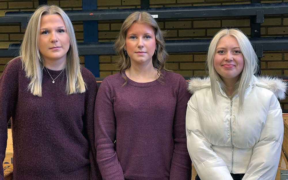 Ett gymnasieval för dig som vill göra