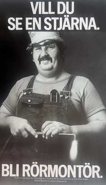 Valde Einstein fel karriär?